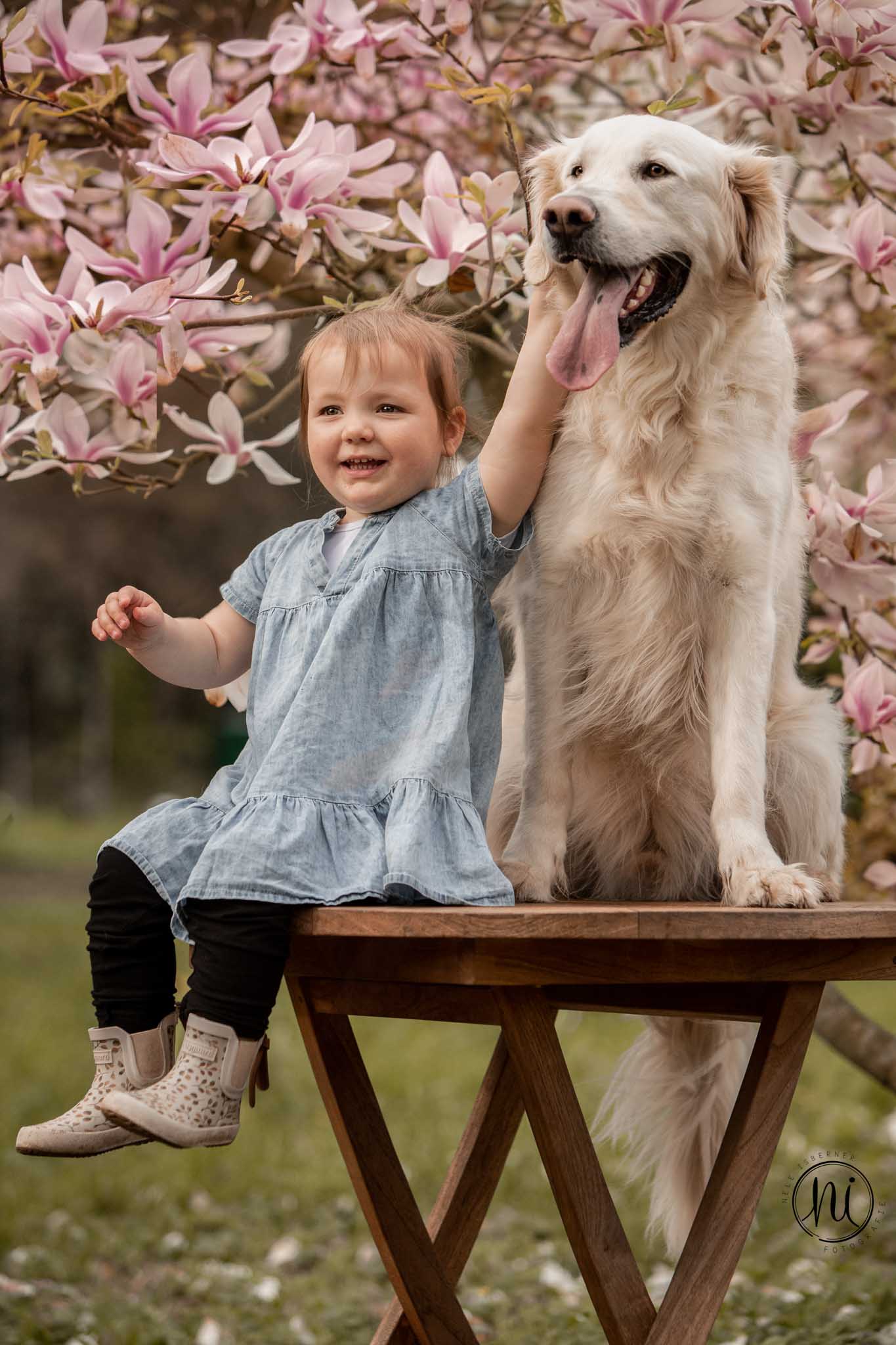 Nele Isberner Hundefotografie