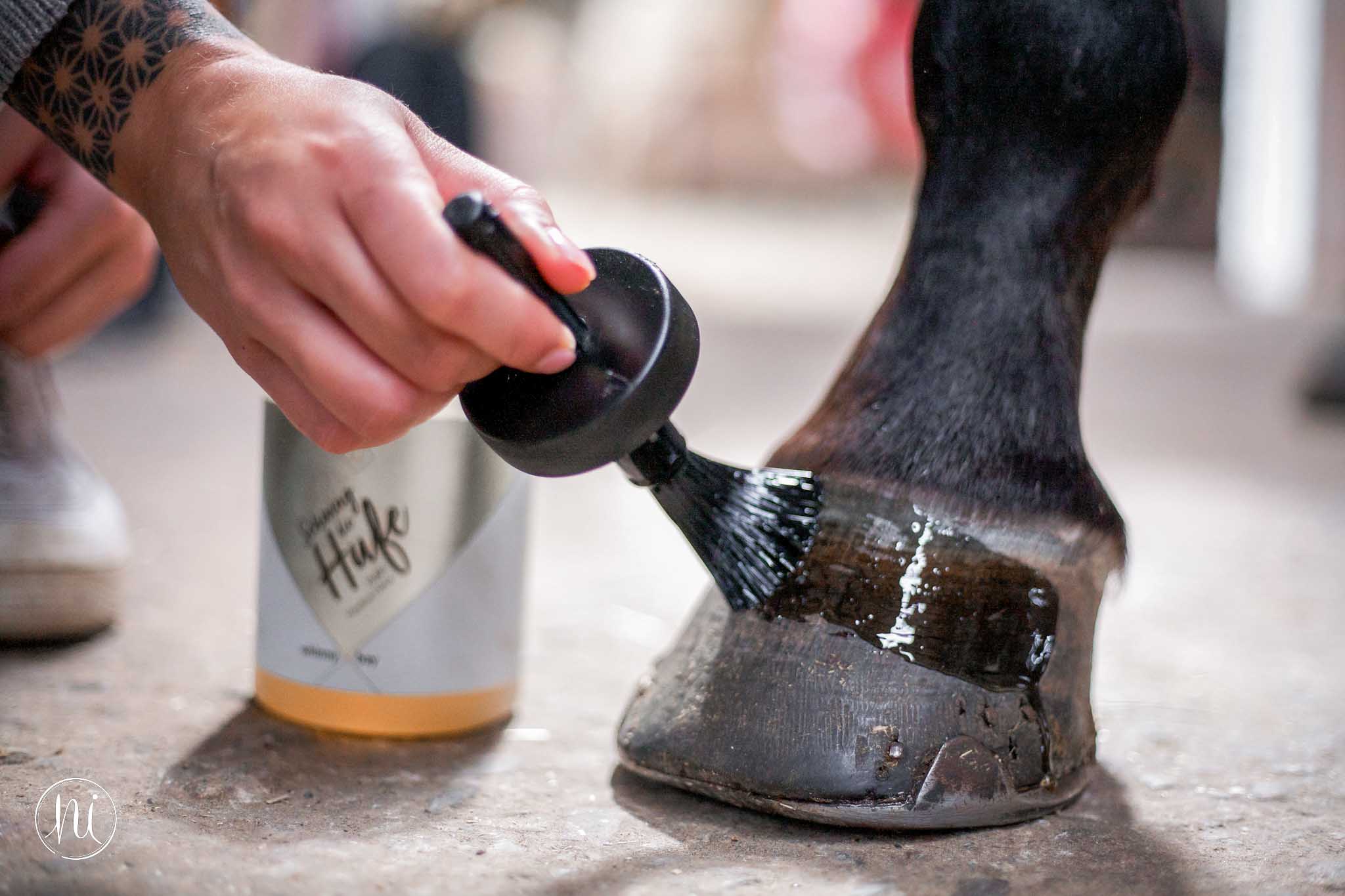 Nele Isberner Fotografie