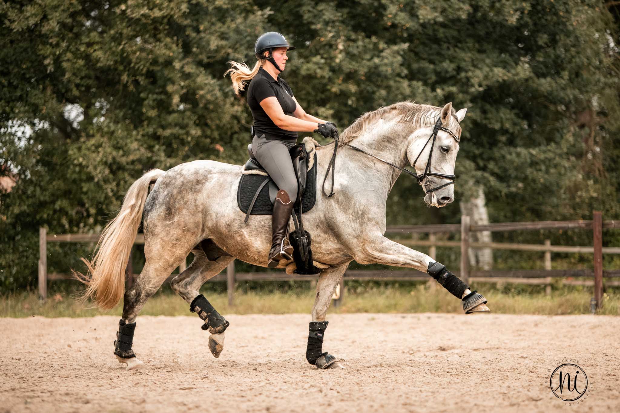 Nele Isberner Pferdefotografie