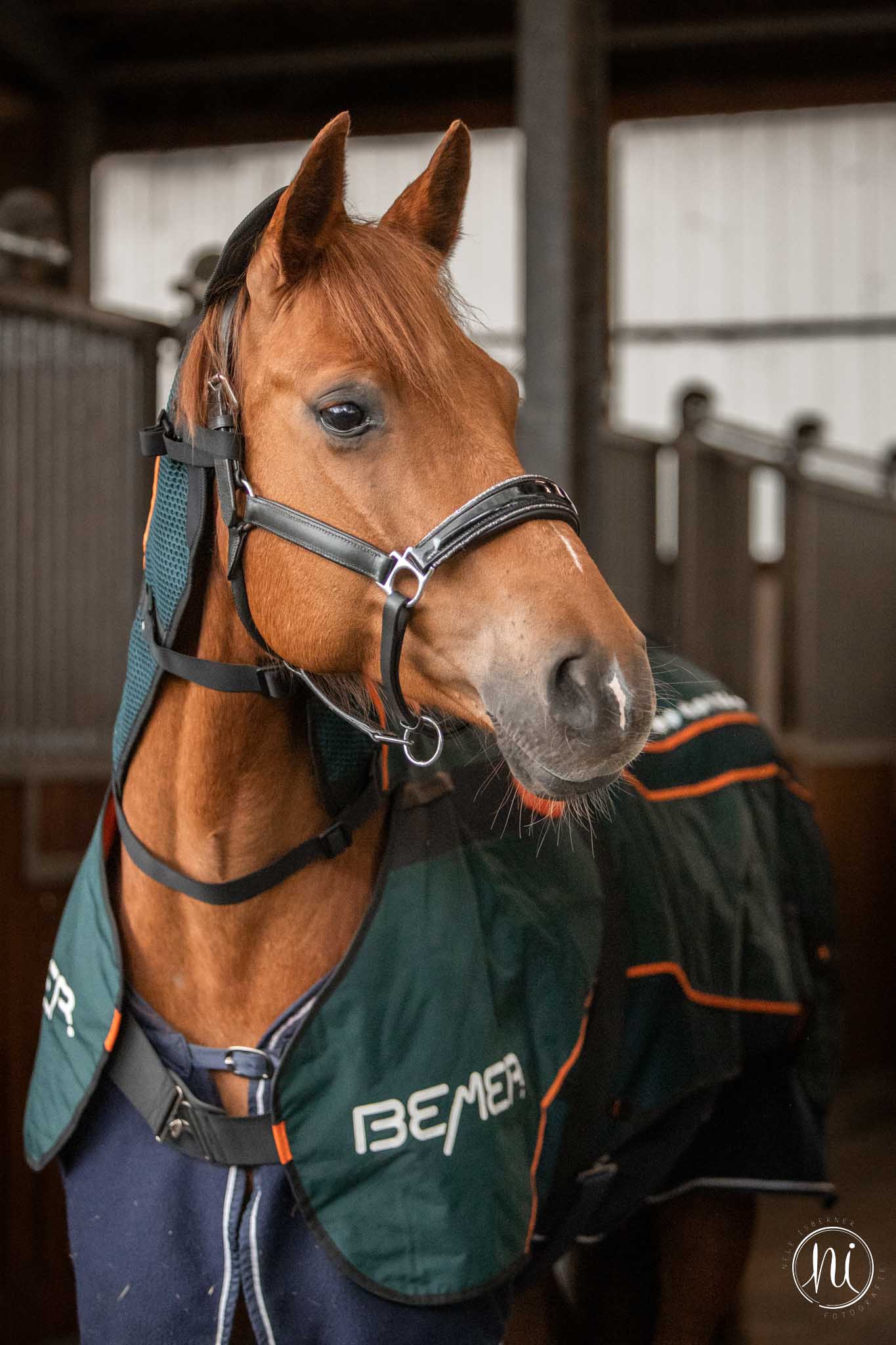 Nele Isberner Fotografie