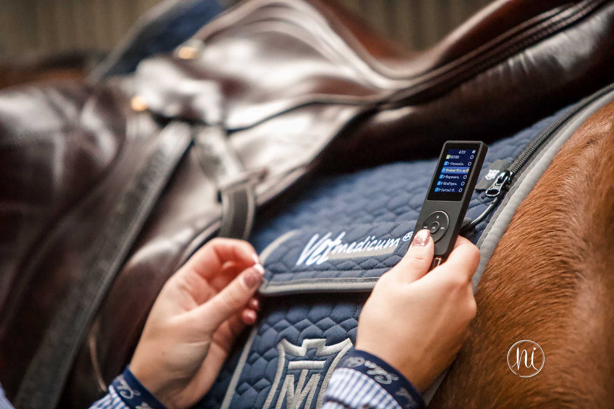 Nele Isberner Hundefotografie