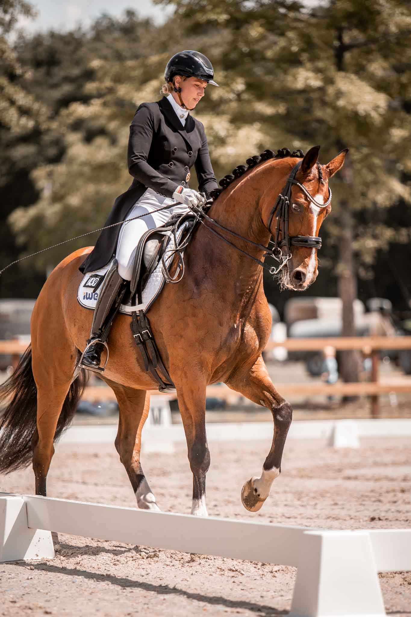 Nele Isberner Pferdefotografie