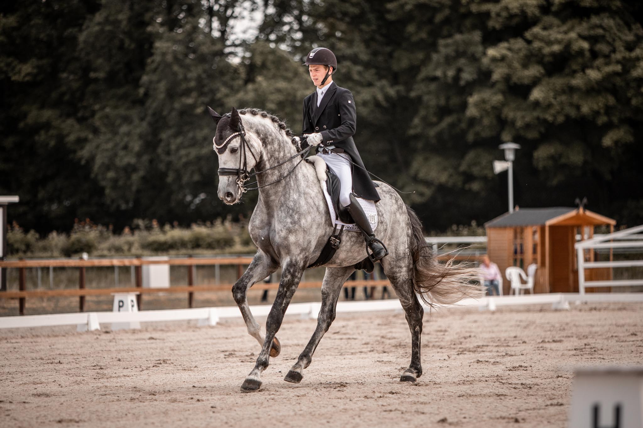 Nele Isberner Pferdefotografie